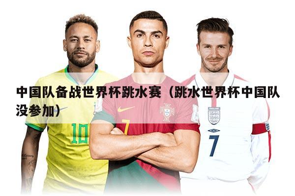 中国队备战世界杯跳水赛（跳水世界杯中国队没参加）