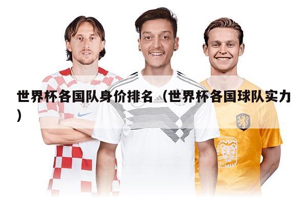 世界杯各国队身价排名（世界杯各国球队实力）