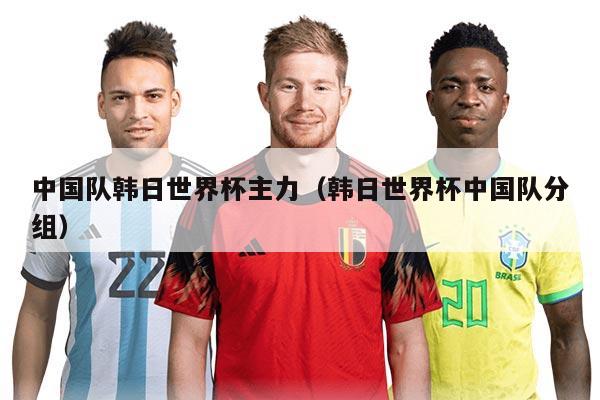 中国队韩日世界杯主力（韩日世界杯中国队分组）