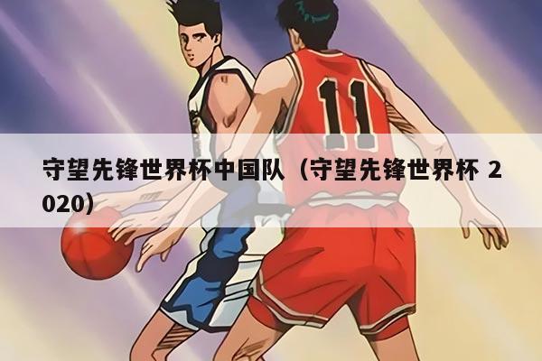 守望先锋世界杯中国队（守望先锋世界杯 2020）