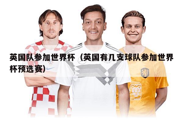 英国队参加世界杯（英国有几支球队参加世界杯预选赛）