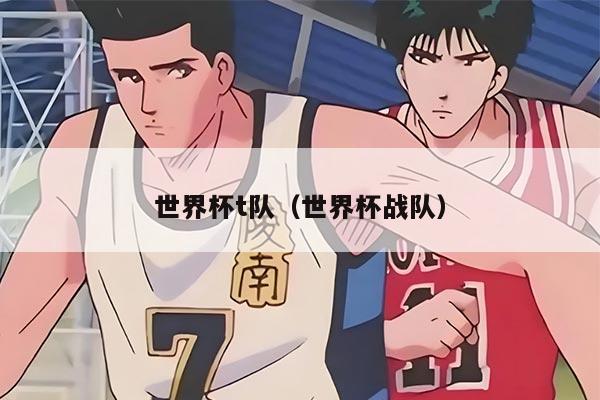 世界杯t队（世界杯战队）